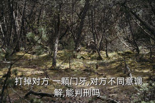 打掉一顆牙判幾年,司法鑒定種植一顆門牙多少錢