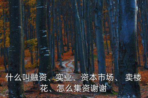 什么叫融資、實業(yè)、資本市場、 賣樓花、怎么集資謝謝