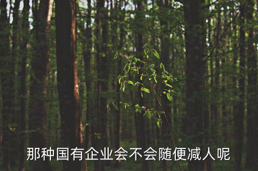 那種國有企業(yè)會不會隨便減人呢