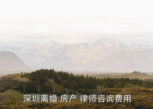 深圳房產(chǎn)糾紛律師