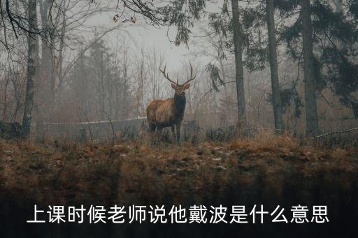 上課時候老師說他戴波是什么意思