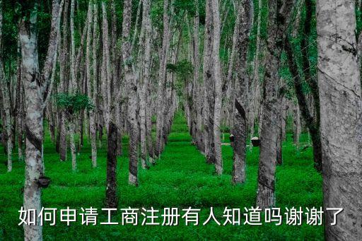 如何申請(qǐng)工商注冊(cè)有人知道嗎謝謝了