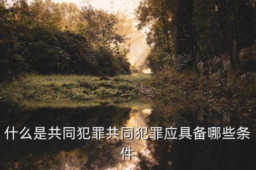 共同犯罪是指，什么是共同犯罪共同犯罪應具備哪些條件