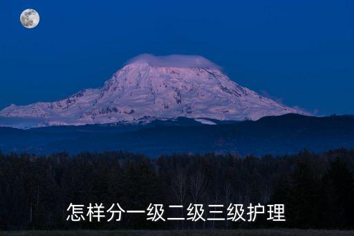 怎樣分一級二級三級護理