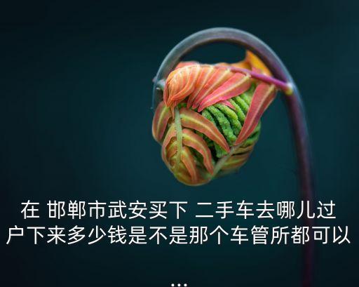 在 邯鄲市武安買下 二手車去哪兒過戶下來多少錢是不是那個車管所都可以...
