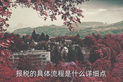 報(bào)稅的基本流程，報(bào)稅全部流程