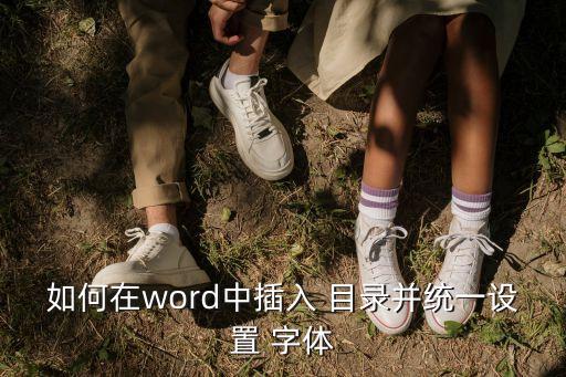 正規(guī)目錄字體格式,檔案目錄一覽表