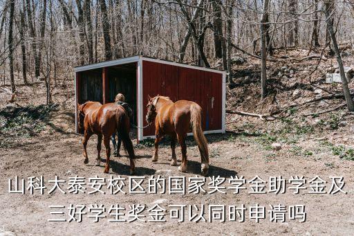 山科大泰安校區(qū)的國(guó)家獎(jiǎng)學(xué)金助學(xué)金及三好學(xué)生獎(jiǎng)金可以同時(shí)申請(qǐng)嗎