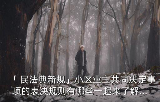 「 民法典新規(guī)」小區(qū)業(yè)主共同決定事項的表決規(guī)則有哪些一起來了解...