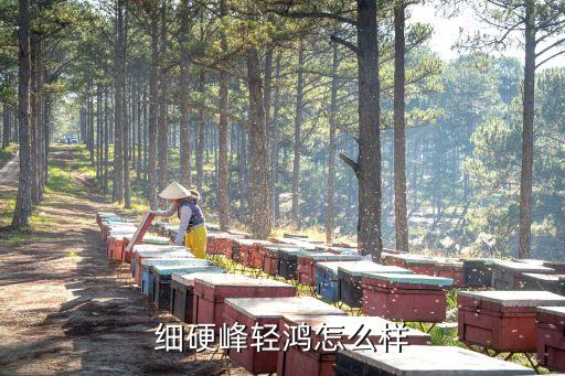 輕峰，細(xì)硬峰輕鴻怎么樣