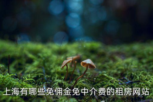 免傭金，上海有哪些免傭金免中介費(fèi)的租房網(wǎng)站
