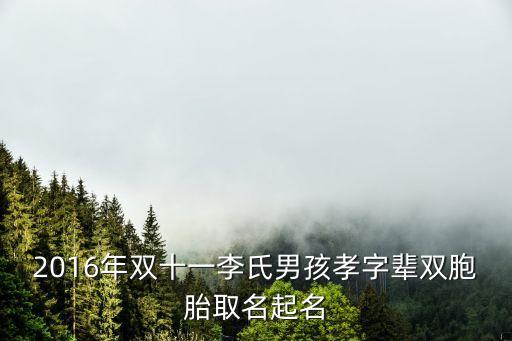 2016年雙十一李氏男孩孝字輩雙胞胎取名起名