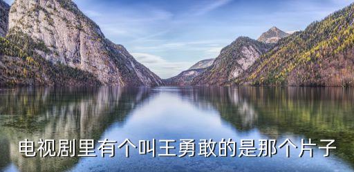 電視劇里有個(gè)叫王勇敢的是那個(gè)片子