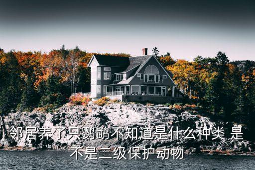 鄰居養(yǎng)了只鸚鵡不知道是什么種類 是不是二級保護動物