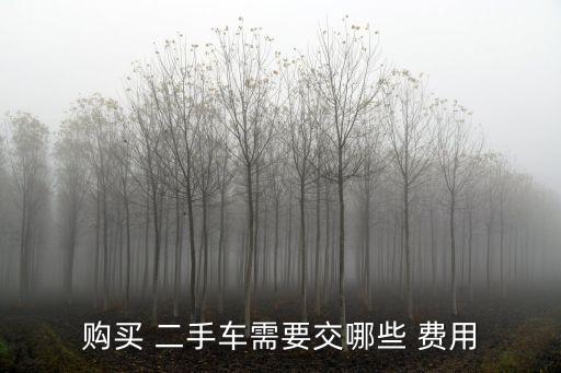 購買 二手車需要交哪些 費用