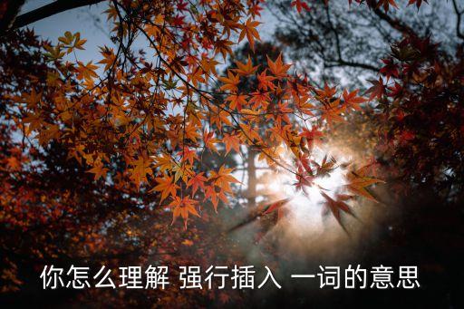 強(qiáng)行插入，你怎么理解 強(qiáng)行插入 一詞的意思