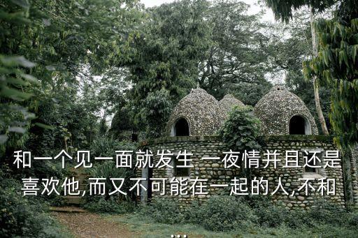 我的一夜情