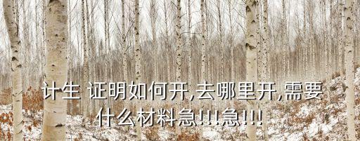 計生證明