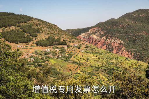 開專票，增值稅專用發(fā)票怎么開