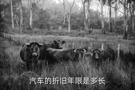 汽車折舊年限，汽車折舊年限概念