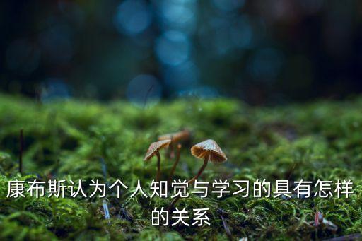 康布斯認為個人知覺與學(xué)習(xí)的具有怎樣的關(guān)系