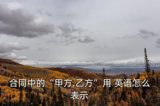 合同中的“甲方,乙方”用 英語怎么表示