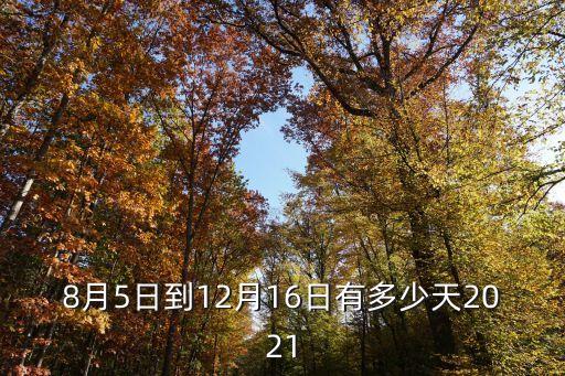 8月份有多少天,2020年8月份有多少天