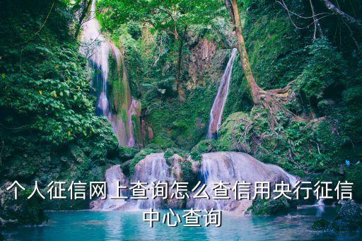 個人征信網(wǎng)上查詢怎么查信用央行征信中心查詢