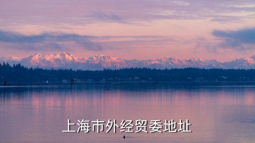 上海外經(jīng)貿(mào)委，上海市外經(jīng)貿(mào)委地址