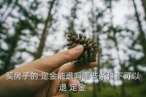 可以約定定金返還條款嗎,約定了定金違約后一倍返還有效嗎