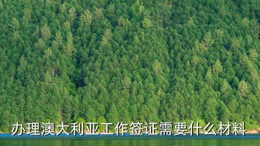 辦理澳大利亞工作簽證需要什么材料