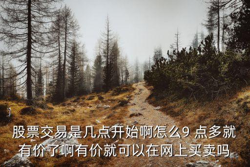 股票交易是幾點開始啊怎么9 點多就有價了啊有價就可以在網(wǎng)上買賣嗎