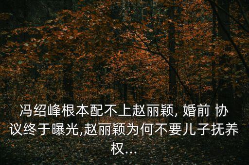 唐山婚前協(xié)議事件