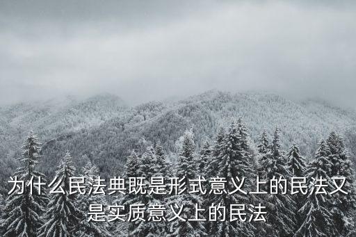 為什么民法典既是形式意義上的民法又是實質意義上的民法
