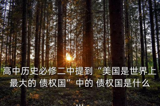 高中歷史必修二中提到“美國(guó)是世界上最大的 債權(quán)國(guó)”中的 債權(quán)國(guó)是什么...
