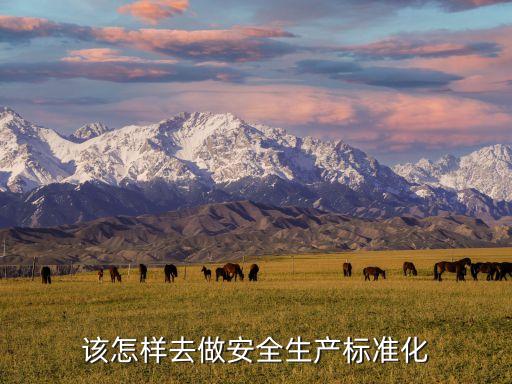 該怎樣去做安全生產(chǎn)標(biāo)準(zhǔn)化