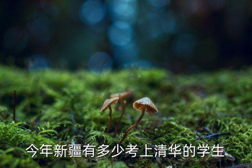 今年新疆有多少考上清華的學生