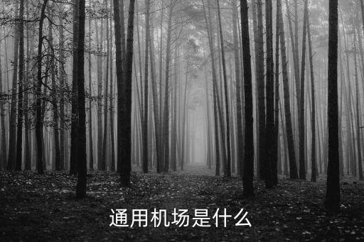 通用機(jī)場(chǎng)是什么
