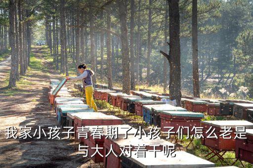 我家小孩子青春期了小孩子們怎么老是與大人對著干呢