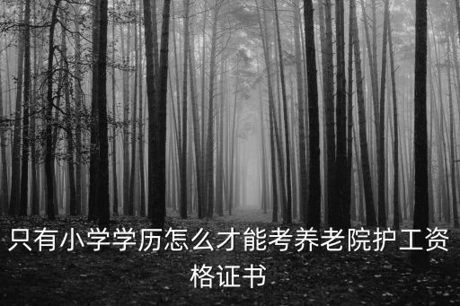 只有小學學歷怎么才能考養(yǎng)老院護工資格證書