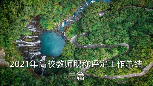 2021年高校教師職稱評定工作總結(jié)三篇
