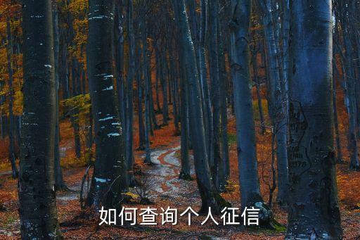 個(gè)人信用查詢系統(tǒng)，個(gè)人信用怎么查