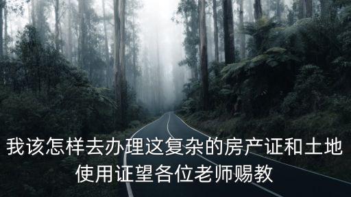 我該怎樣去辦理這復雜的房產(chǎn)證和土地使用證望各位老師賜教