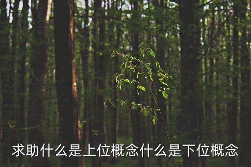 求助什么是上位概念什么是下位概念