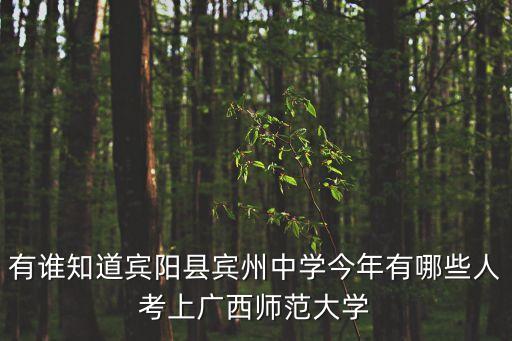 馮小峰