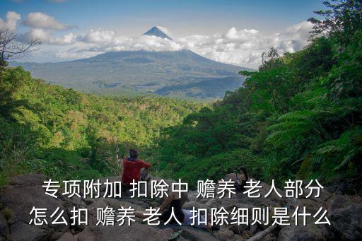 專項(xiàng)扣除贍養(yǎng)老人