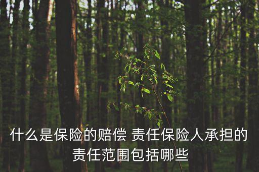 什么是保險的賠償 責任保險人承擔的 責任范圍包括哪些