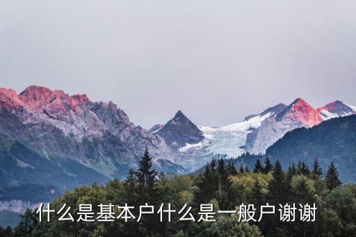 什么是基本戶(hù)什么是一般戶(hù)謝謝