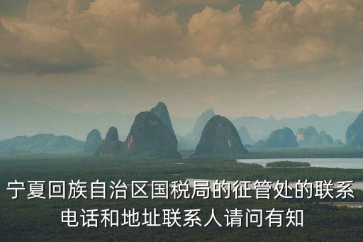 寧夏稅務(wù)局官網(wǎng)，誰知道寧夏吳忠市地稅局網(wǎng)站地址百度搜不到聽說現(xiàn)在可以網(wǎng)上報(bào)