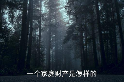 一個家庭財產(chǎn)是怎樣的